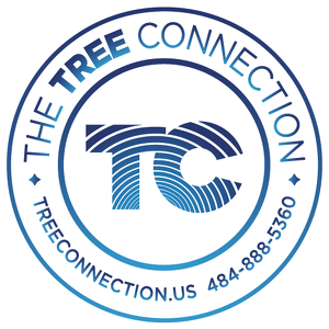 Team Page: The Tree Connection